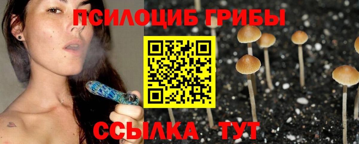 Псилоцибиновые грибы Psilocybe  хочу   Нижнеудинск  Вход с VPN 